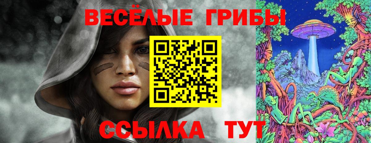 Галлюциногенные грибы MAGIC MUSHROOMS Вятские Поляны