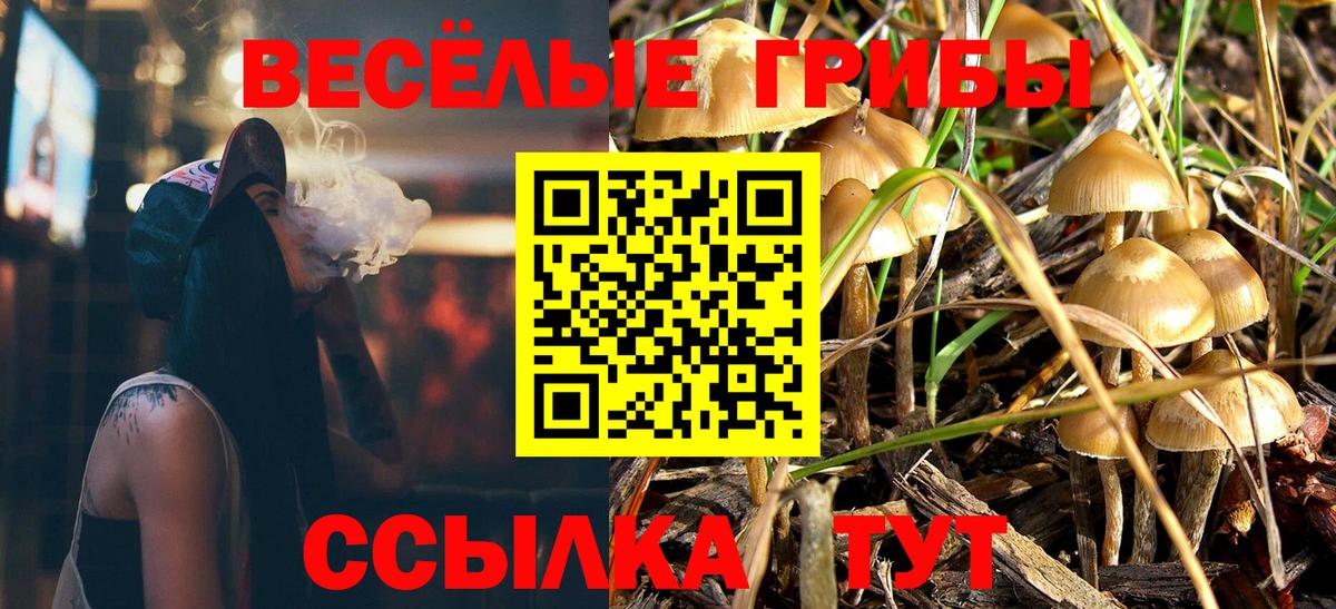 Галлюциногенные грибы Magic Shrooms  Вход с VPN  купить наркотик  Вятские Поляны 